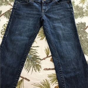 New York & Company Deep Indigo Cropped Jeans